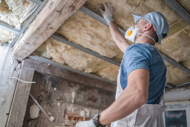 Best Insulation Installation Services in Wabasha, MN