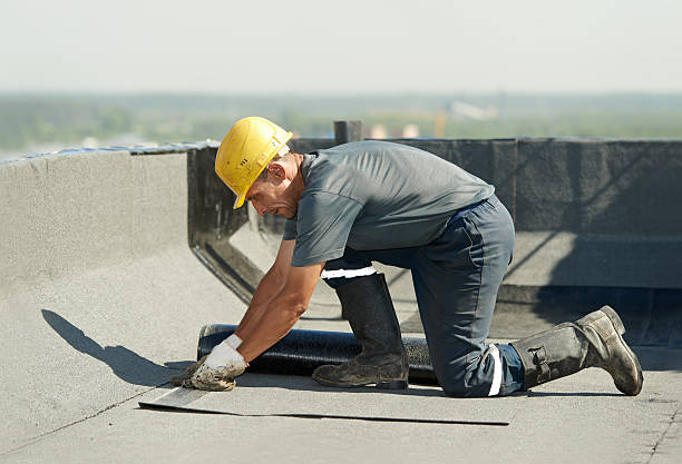 Best Residential Insulation in Wabasha, MN