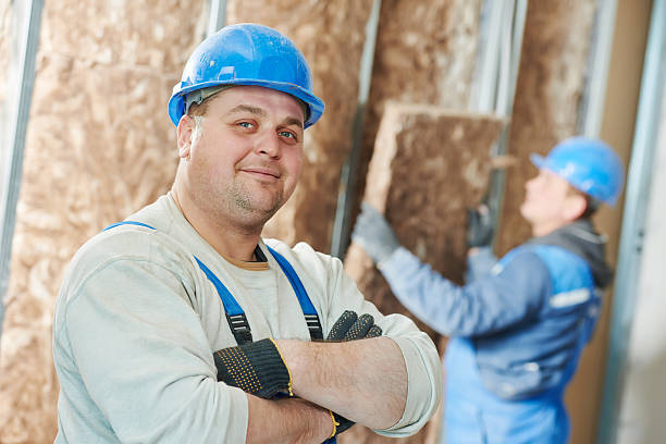 Best Commercial Insulation in Wabasha, MN