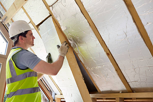 Best Insulation Installation Services in Wabasha, MN