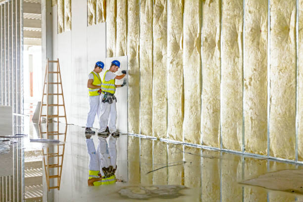 Best Insulation for Specific Applications in Wabasha, MN